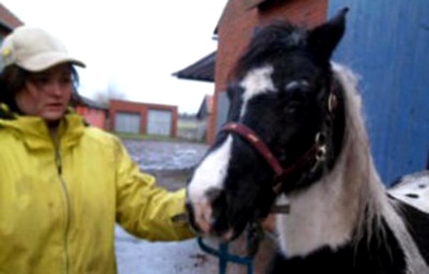 Stute Flicka mit frau trauriges