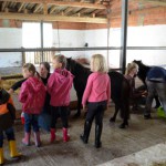 Kindernachmittag kinder bemalen ein pferd