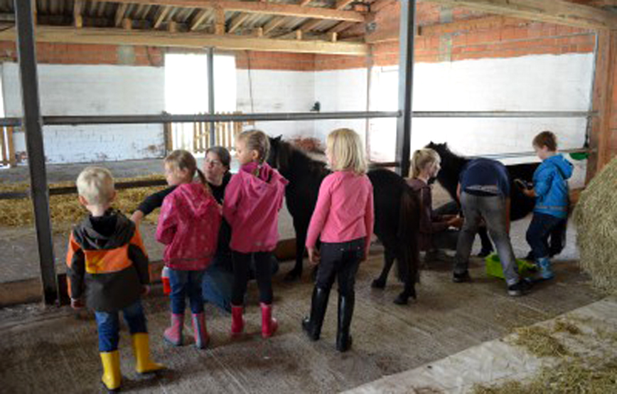 Kindernachmittag kinder bemalen ein pferd