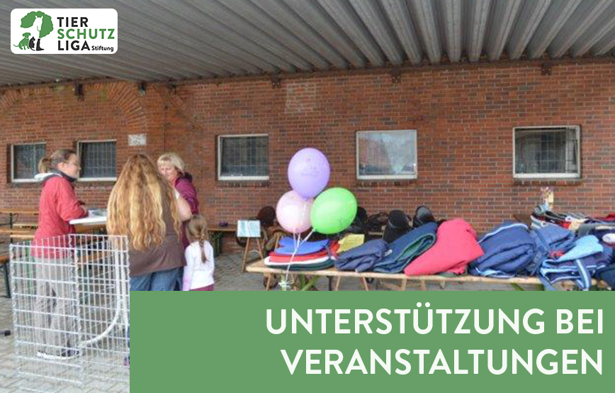 beitragsbild ehrenamt pflegestelle hund körbchen logo