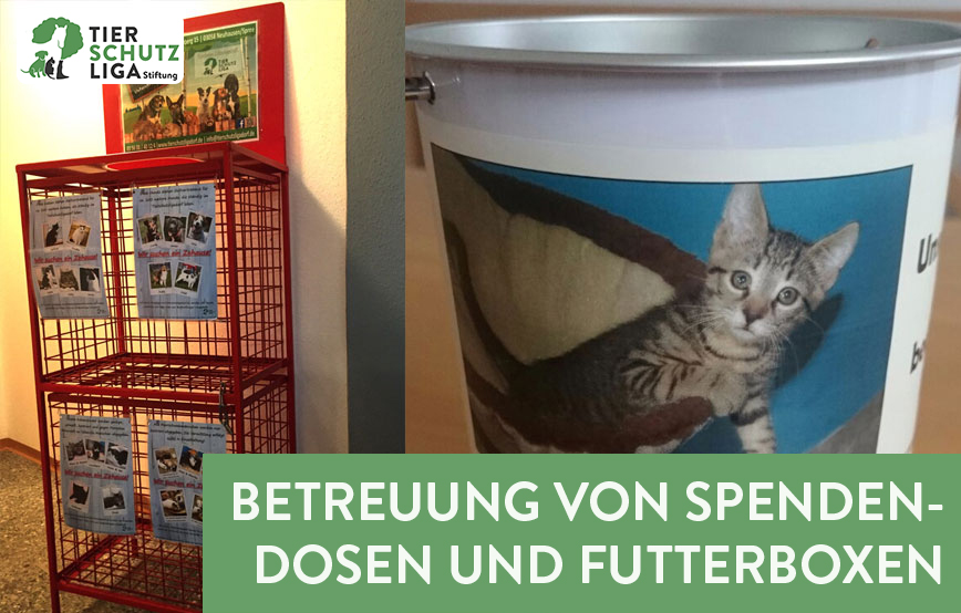 beitragsbild spendendose futterbox logo