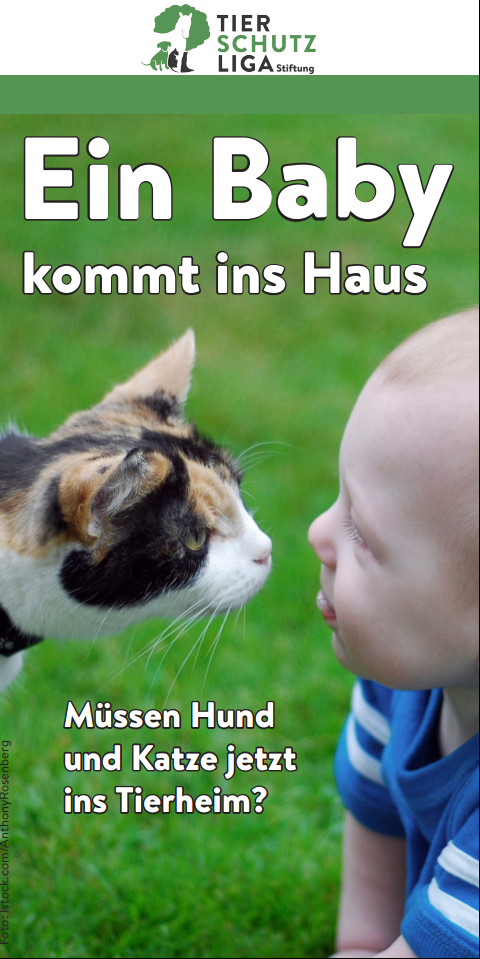 baby_im_haus_deck