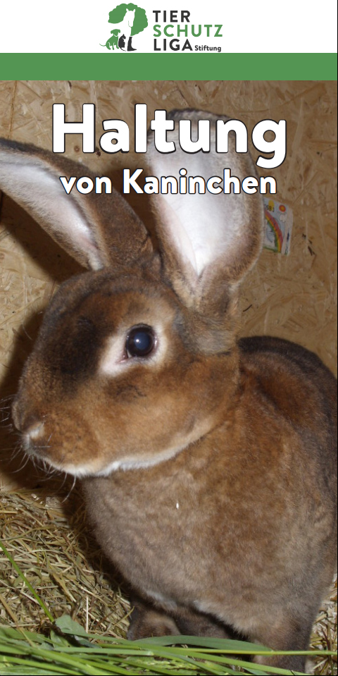 haltung_kaninchen_deck