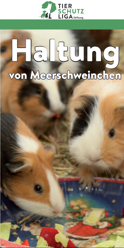 haltung_meerschweinchen_deck