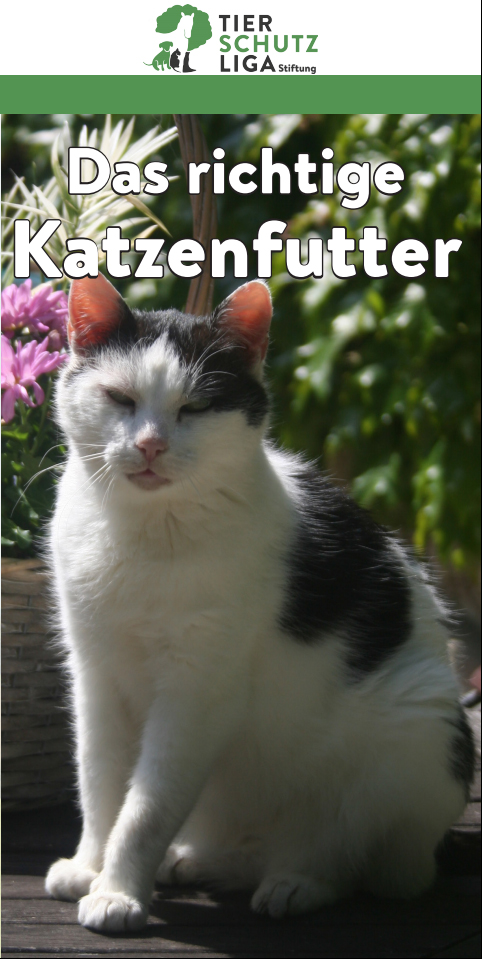 katzenfuettern_deck