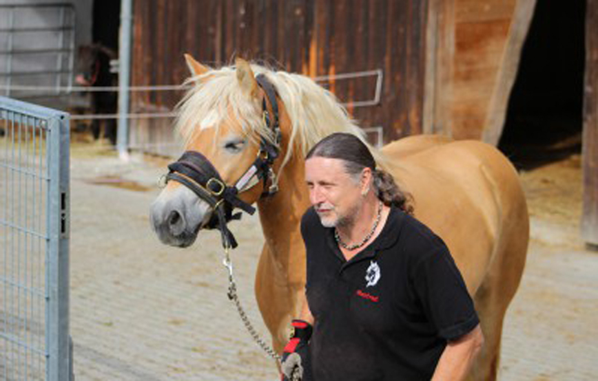 Pferd mit mann vor scheune