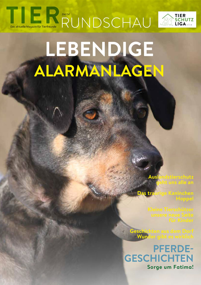 Tierrundschau-1404