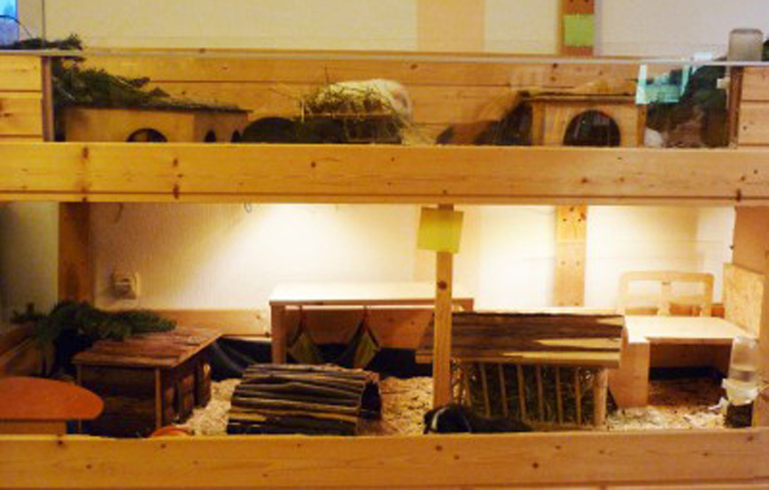 tipps gehegebau blog