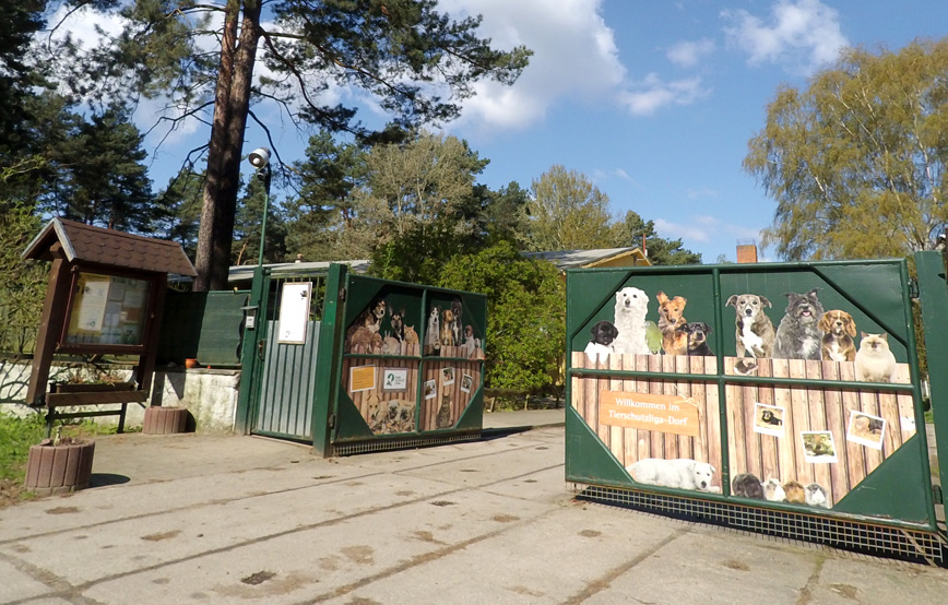 Beitragsbild Tierschutzliga Dorf Tor offen