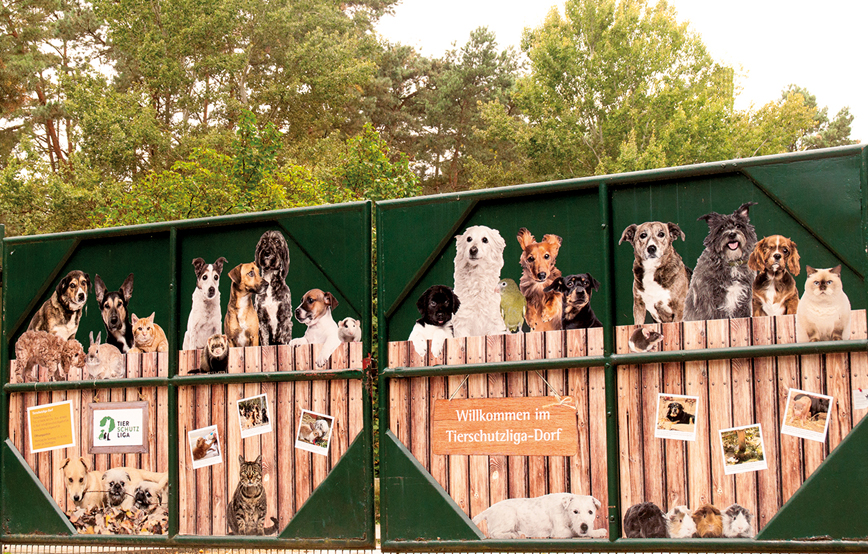 Eingang Tor Tierschutzliga Dorf