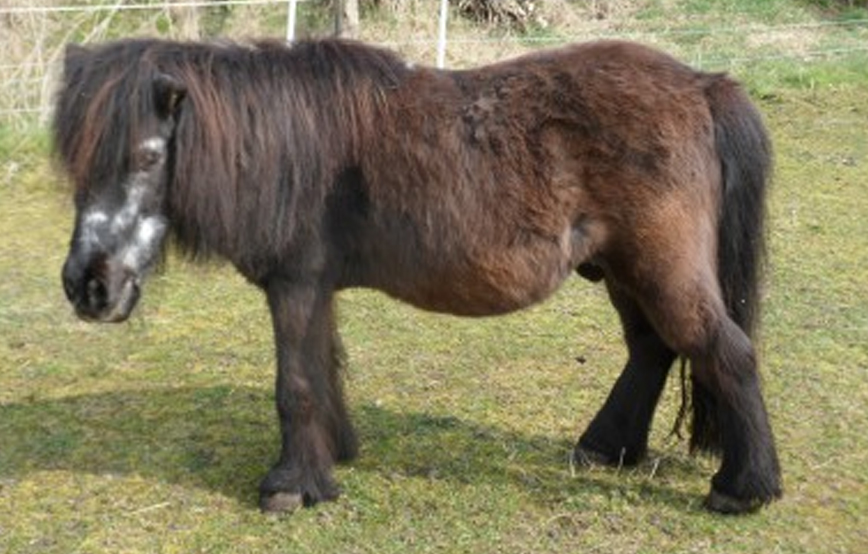 beitragsbild maxl TP007_15