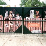 Tag der offenen Tür 2014-1