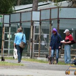 Tag der offenen Tür 2014-3