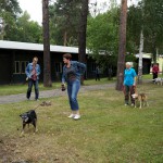 Warten auf die Hundevorführung