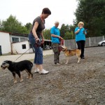 Hundevorführung Evi und Felix 1