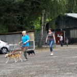 Hundevorführung Evi und Felix 2