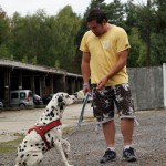 Hundevorführung Benny