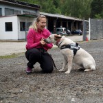 Hundevorführung Sama