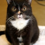 00792_Purzel_K125_15_201512-3