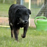 01221_Jimmy_201607_(15)