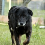 01221_Jimmy_201607_(16)