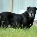 01221_Jimmy_201607_(17)