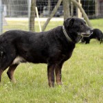 01221_Jimmy_201607_(4)