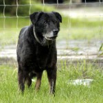 01221_Jimmy_201607_(8)