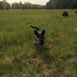 11217822_1274957969199880_5383149446986252153_n