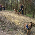 13077082_1274958005866543_3074766377237943150_n