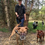 13091881_1274957492533261_2987048717407434404_n