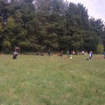 13091987_1274960189199658_8892083151911353981_n