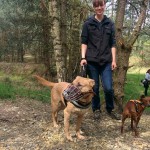 13092002_1274957842533226_243630274484336182_n