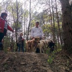 13092051_1274958059199871_7288465094338895397_n