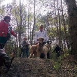 13096012_1274958039199873_62480715724368100_n