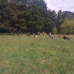 13100763_1274960339199643_5007477480587148216_n