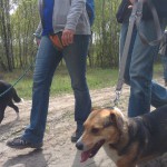 13102618_1274957005866643_2921999823772335983_n