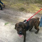 13103366_1274957432533267_4785223869929363620_n