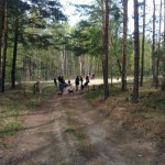 13124647_1274956969199980_3123694004569698739_n