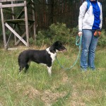 13124978_1274958122533198_959156393625611151_n