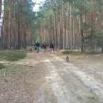 13133174_1274957025866641_6897874873714919014_n