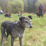 13133311_1274958325866511_4490073378382358791_n