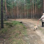 13138820_1274957369199940_6446682297566249187_n