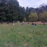 13139228_1274960245866319_185829128756552478_n