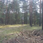 13151463_1274957465866597_1116584599235735612_n