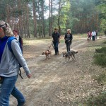 13151543_1274957312533279_579146940577038256_n