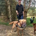 13151784_1274957795866564_2490579313193510651_n