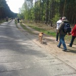 13173648_1274960415866302_900839458042787805_n