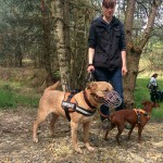 13173836_1274957885866555_1348275810172782623_n