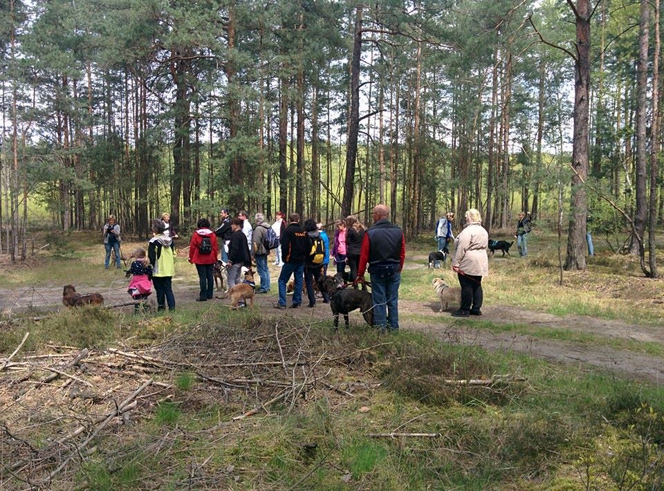 13173977_1274957702533240_2179519447822348561_n